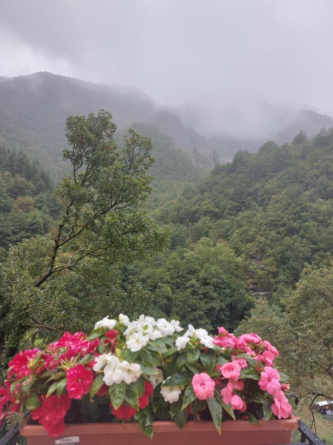 B&B Donnini Firenzuola Bagian luar foto
