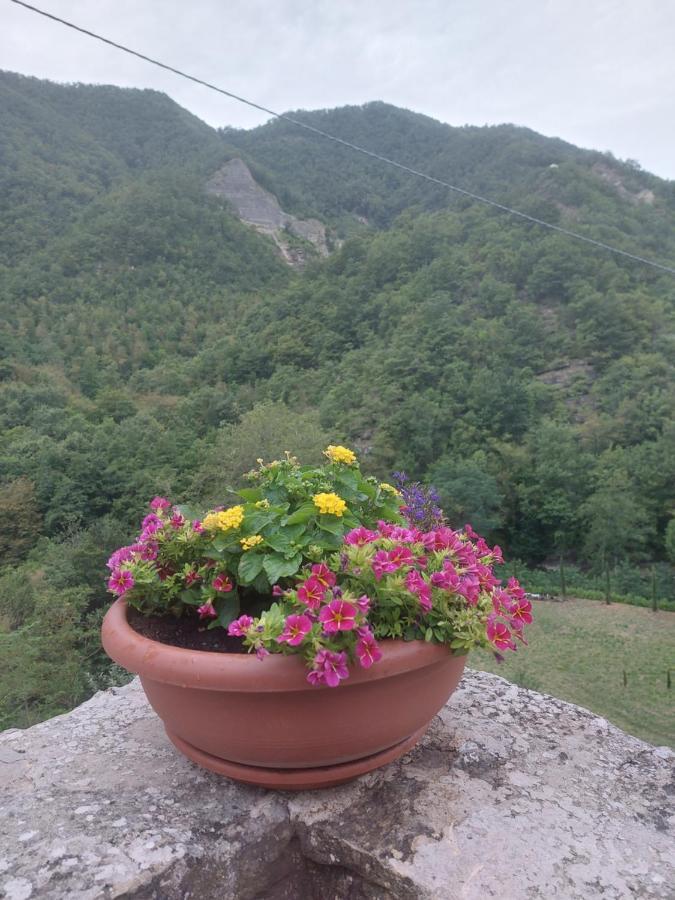 B&B Donnini Firenzuola Bagian luar foto