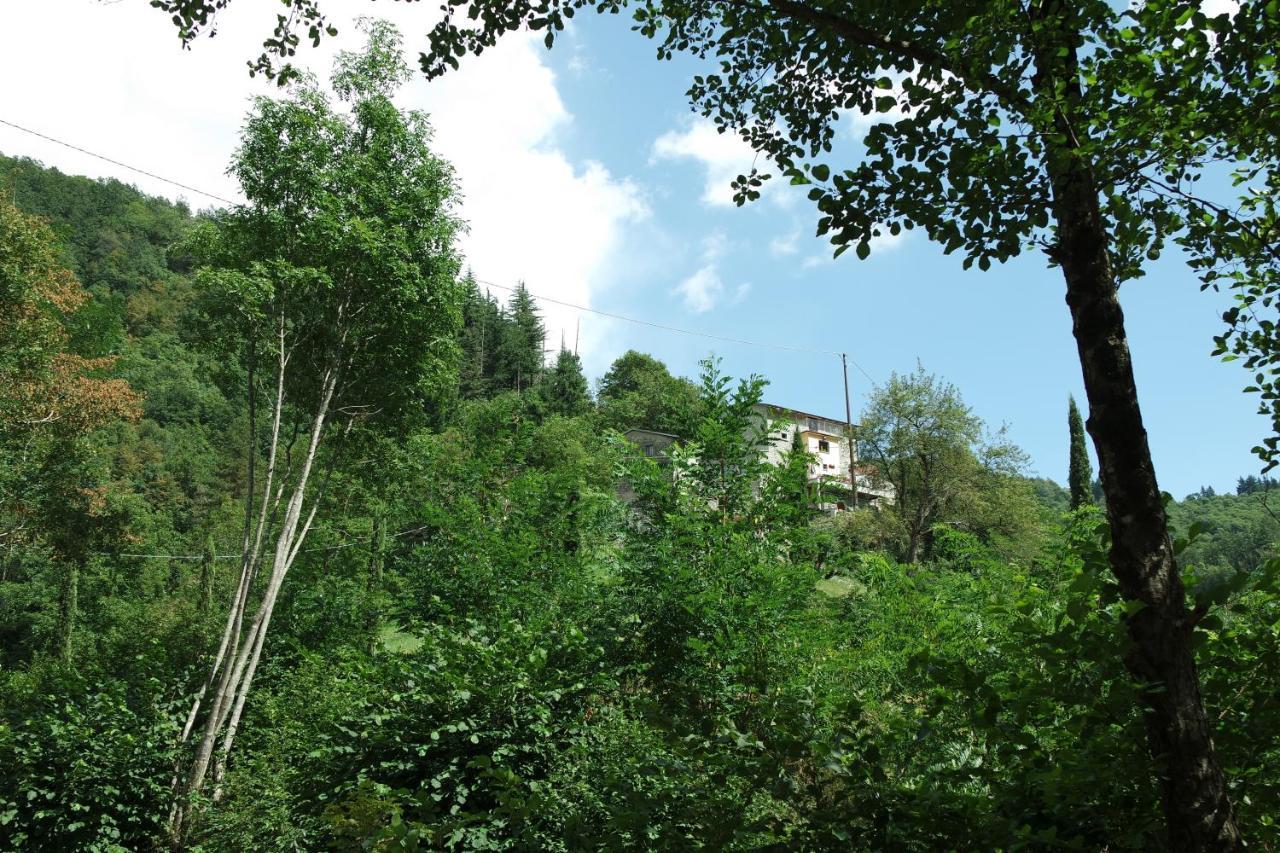 B&B Donnini Firenzuola Bagian luar foto